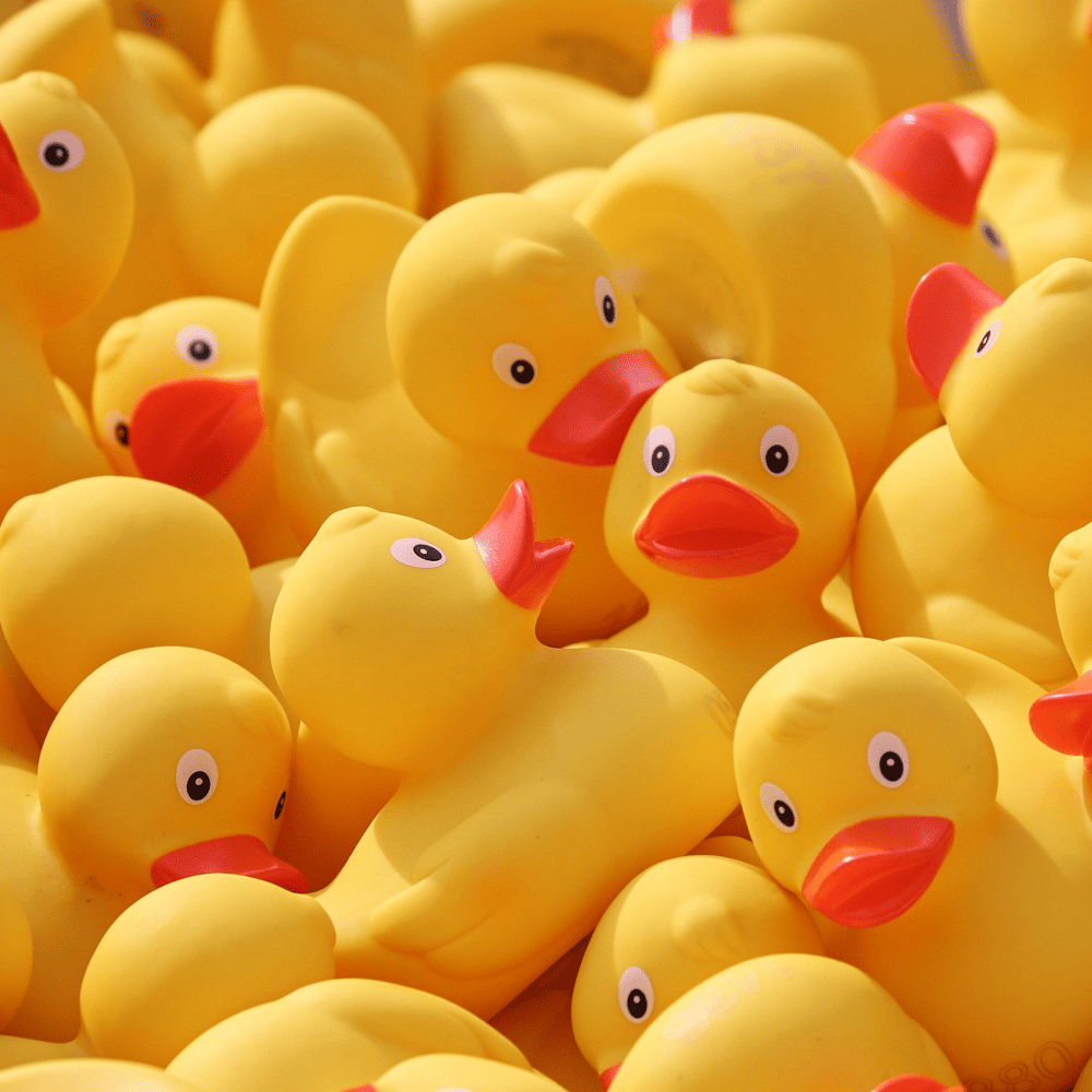 Warum gute Schwimmkurse oft fehlen