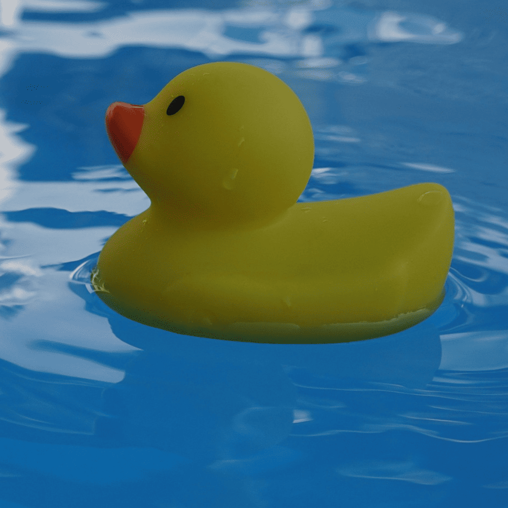 Anfängerkurse für Kinder