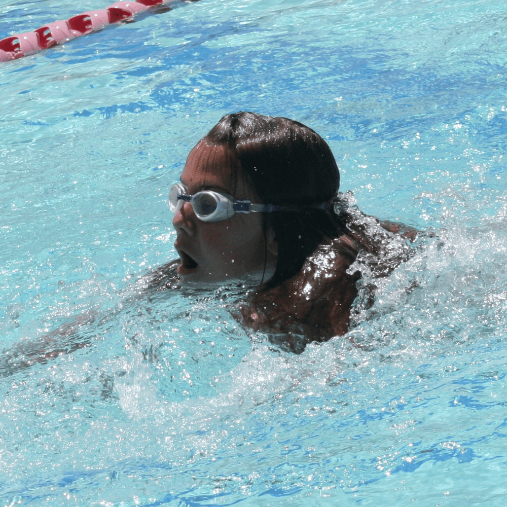 Nebenberuflich mit WasserChampions starten
