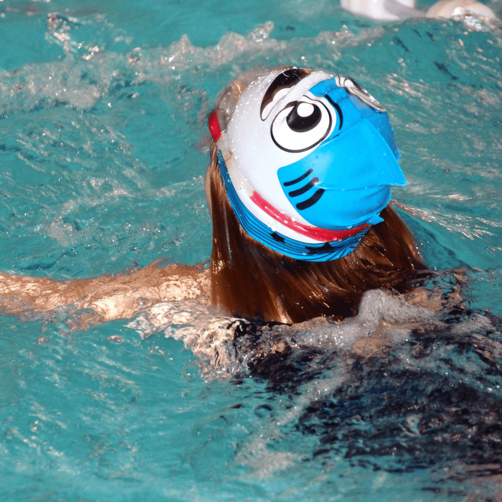 Wie WasserChampions arbeitet